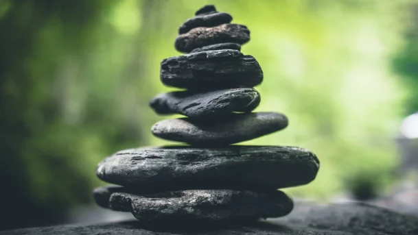 Purpose-Beyond-Profit-The-Enduring-Worth-of-Professional-Values-scaled